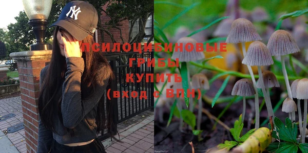 дживик Вязники