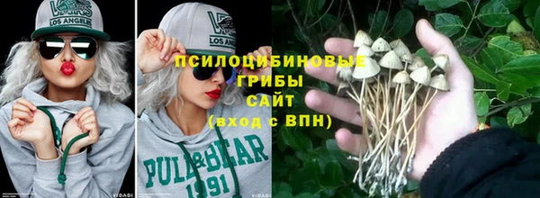 кокс Вяземский