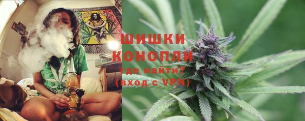 apvp Рославль